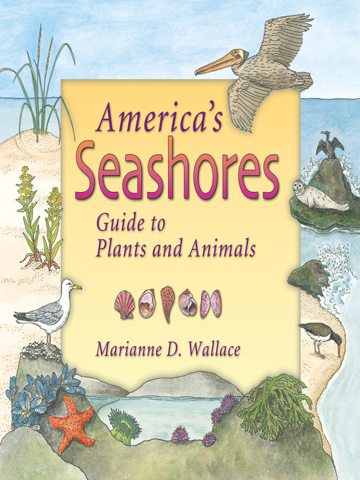 Title details for America's Seashores by Marianne D. Wallace - Available